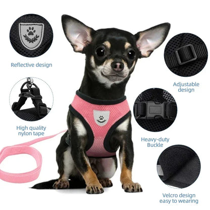 Mesh Pet Harness - Adjustable Vest & Walking Leash