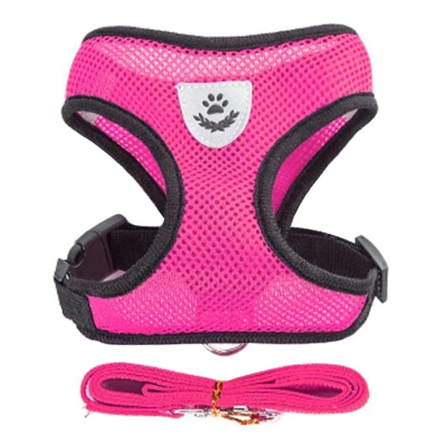 Mesh Pet Harness - Adjustable Vest & Walking Leash
