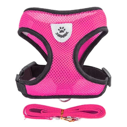 Mesh Pet Harness - Adjustable Vest & Walking Leash