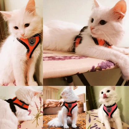 Mesh Pet Harness - Adjustable Vest & Walking Leash