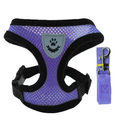 Mesh Pet Harness - Adjustable Vest & Walking Leash