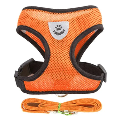 Mesh Pet Harness - Adjustable Vest & Walking Leash