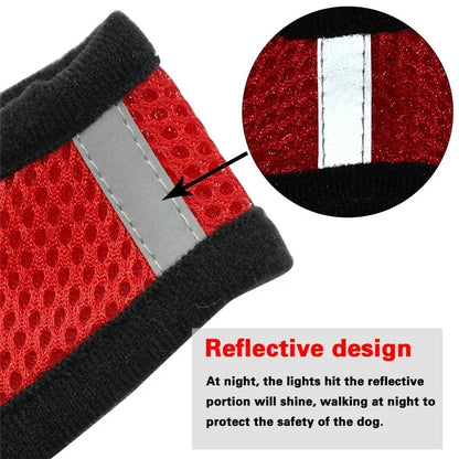 Mesh Pet Harness - Adjustable Vest & Walking Leash