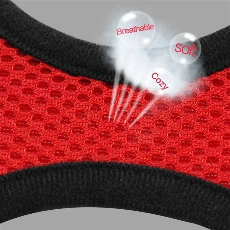 Mesh Pet Harness - Adjustable Vest & Walking Leash
