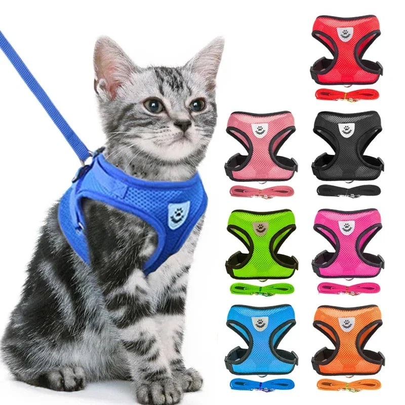 Mesh Pet Harness - Adjustable Vest & Walking Leash