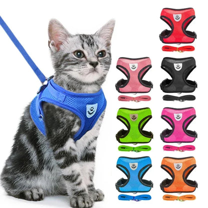 Mesh Pet Harness - Adjustable Vest & Walking Leash