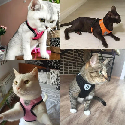 Mesh Pet Harness - Adjustable Vest & Walking Leash